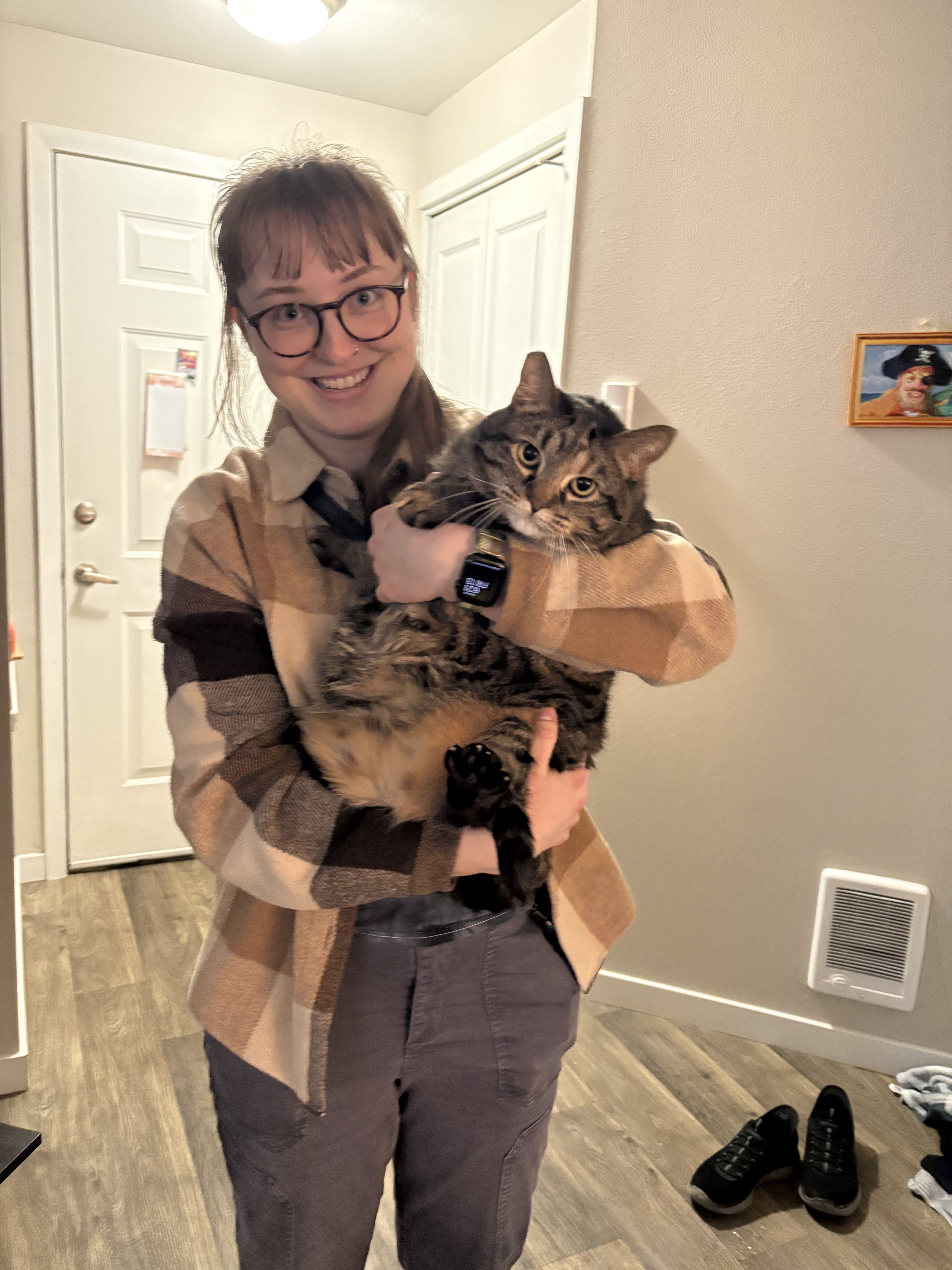 Tina, a tabby cat